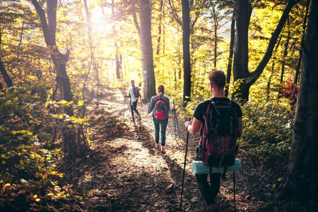 People hiking on a trail